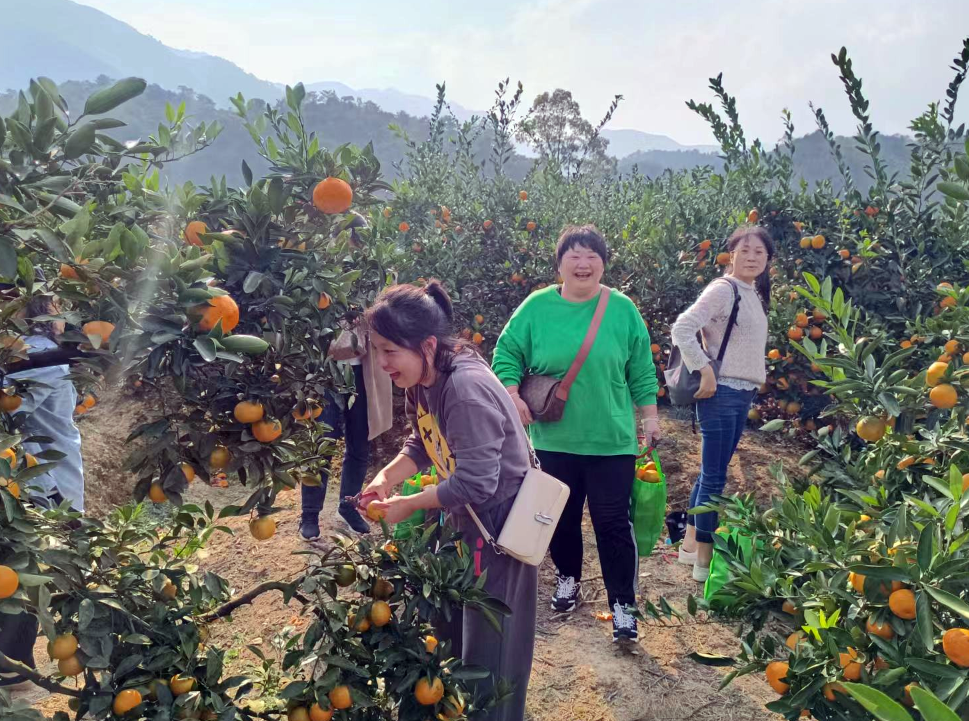 九江長(zhǎng)運(yùn):客運(yùn)中心公司開(kāi)展戶外拓展團(tuán)建活動(dòng)